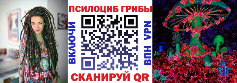 Псилоцибиновые грибы GOLDEN TEACHER  omg   сайты даркнета наркотические препараты  Магнитогорск 